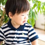 ２歳児保育のねらい｜活動目標と指導案、月案・保育参観・保育計画