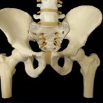 骨粗鬆症の看護｜治療における各種療法と骨折予防のための指導
