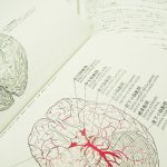 脳腫瘍の看護｜看護における問題と観察項目、看護計画について