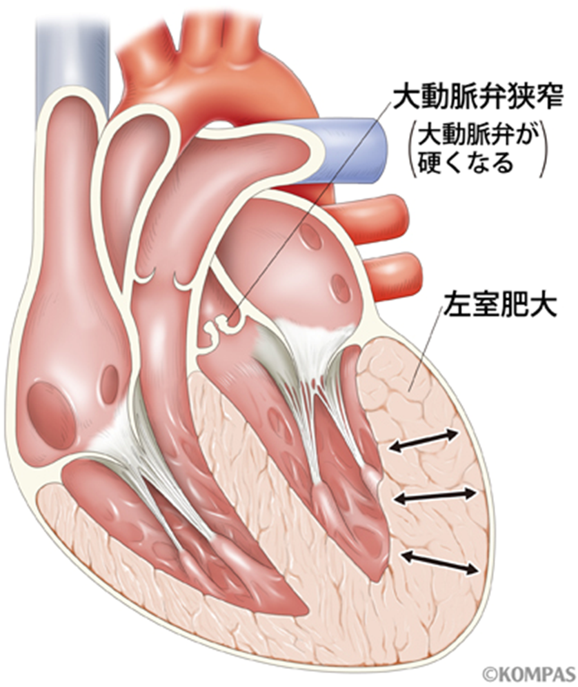 ナースのヒント 明日のヒントが見つかるwebメディア