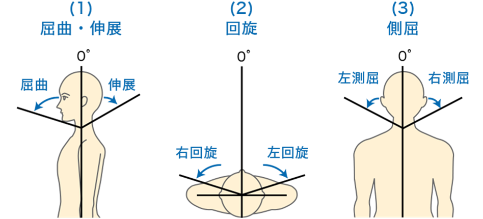 関節可動域 Rom の看護 測定法 テスト Rom訓練や看護のポイント