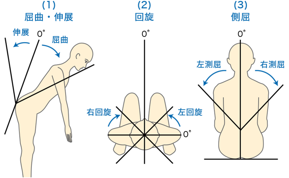 関節可動域 Rom の看護 測定法 テスト Rom訓練や看護のポイント ナースのヒント