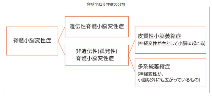 脊髄小脳変性症の患者の看護 脊髄小脳変性症の症状と看護問題や看護のポイント ナースのヒント