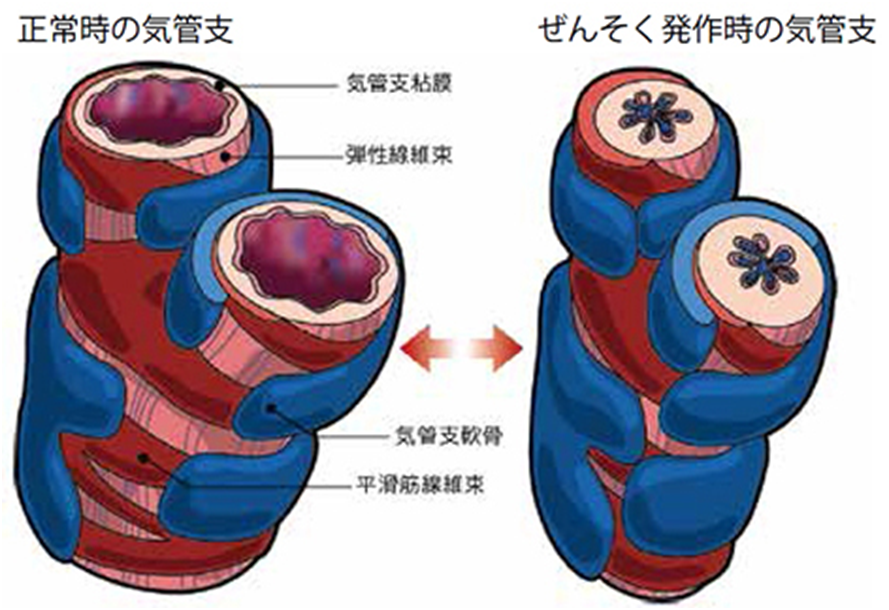 医師の診察を受ける時期