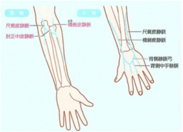 静脈 内 注射