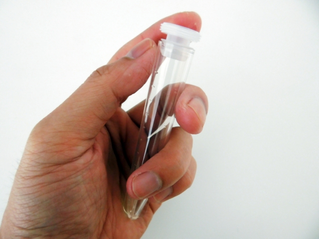 勃起不全の原因と治療